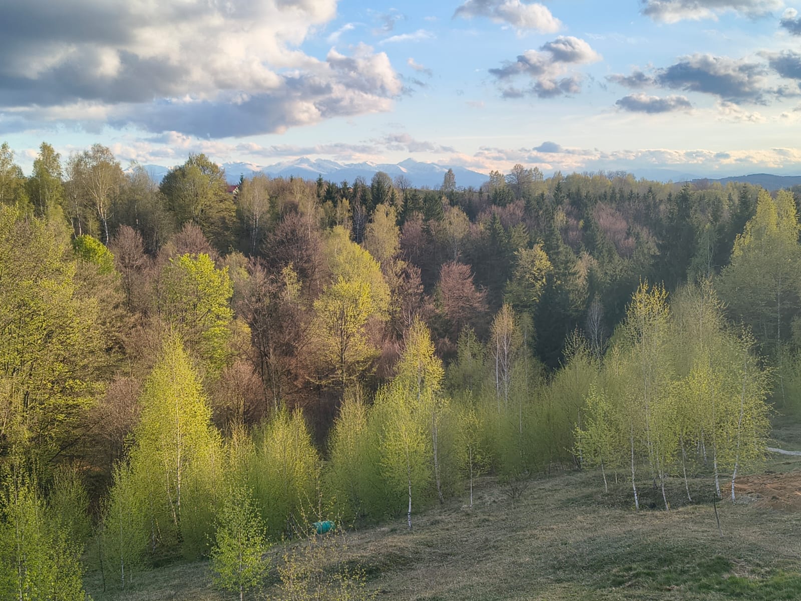Panoramă Târsa