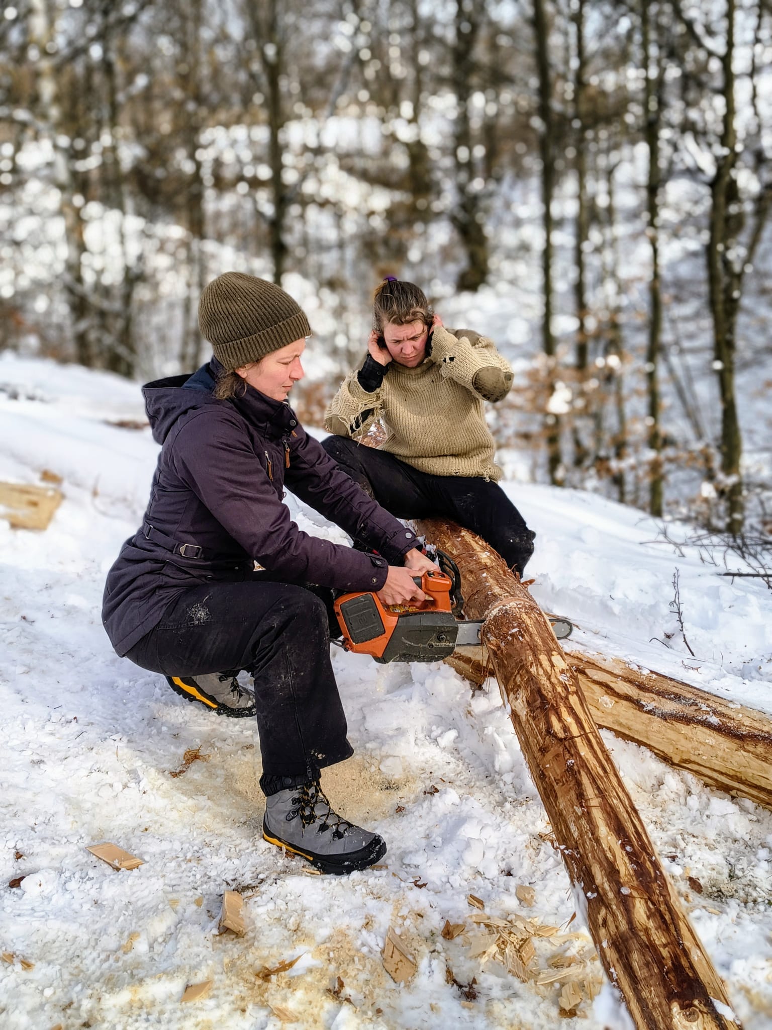 Ajutoare neprețuite ale Potecii
